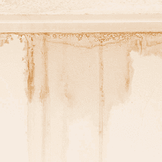 WATER STAINS OR LEAKS